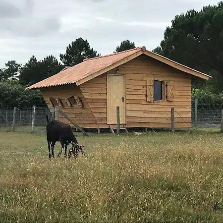 Gite - La Ferme A La Plage Le Porge Dış mekan fotoğraf