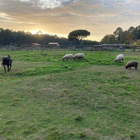 Gite - La Ferme A La Plage Le Porge Dış mekan fotoğraf